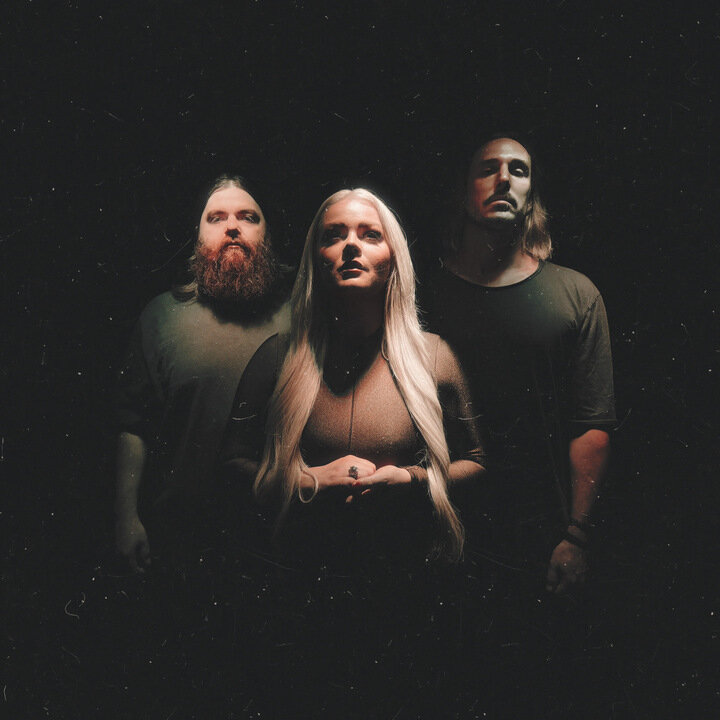 Medium tulip square 2025