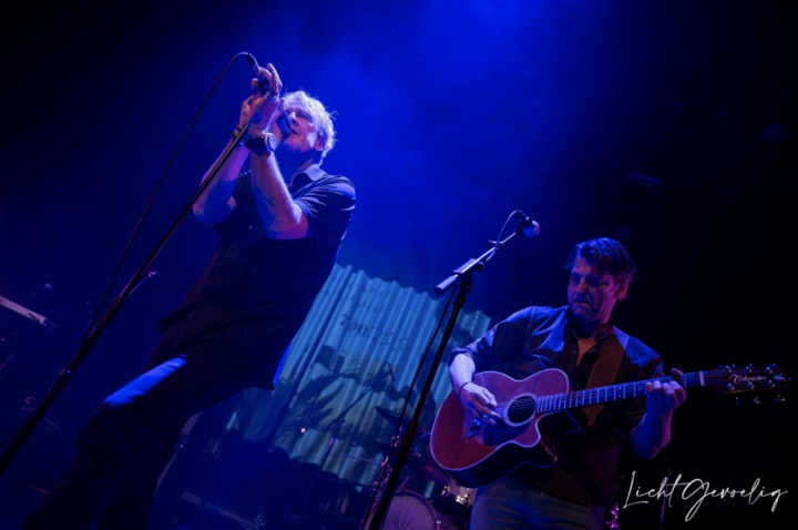 Medium white rose transmission