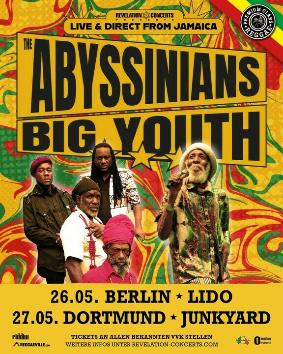 Medium the abyssinians