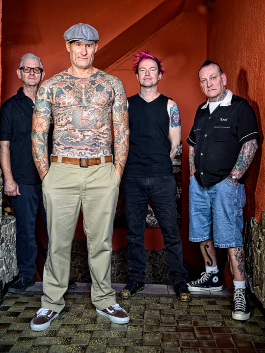 Medium batz promo 1 lowres