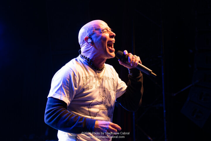 Medium john bush 2 by stephanie cabral