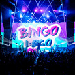 Small bingoloco